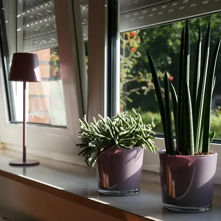 Gemuetliche Auf Dem Lande 아파트 *