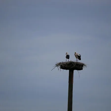 Gemuetliche Auf Dem Lande 바트왼하우젠