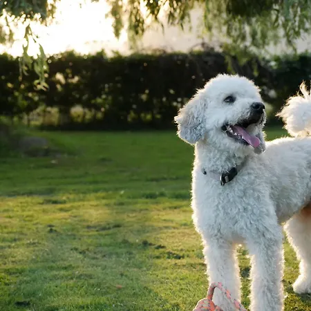 Gemuetliche Auf Dem Lande *