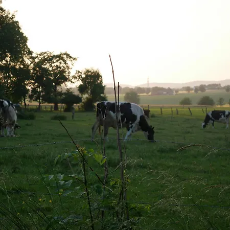 Gemuetliche Auf Dem Lande 아파트 바트왼하우젠