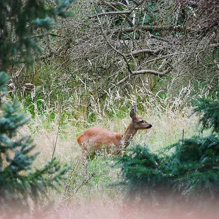 아파트 Gemuetliche Auf Dem Lande *