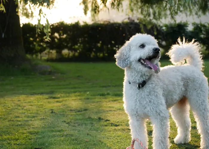 Gemuetliche Auf Dem Lande *