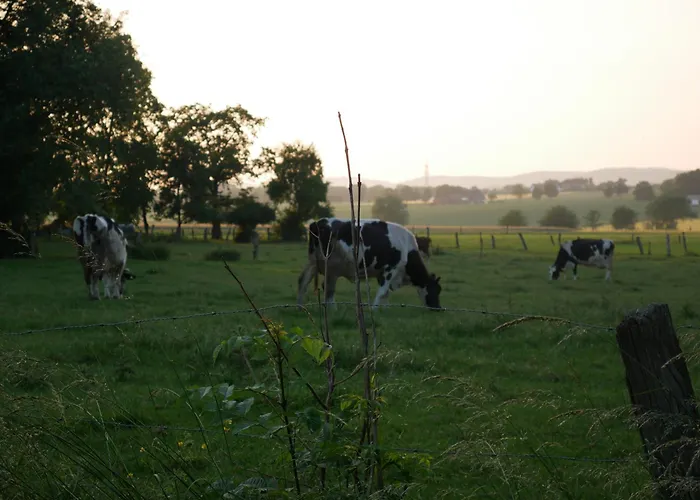Gemuetliche Auf Dem Lande Lejlighed Bad Oeynhausen