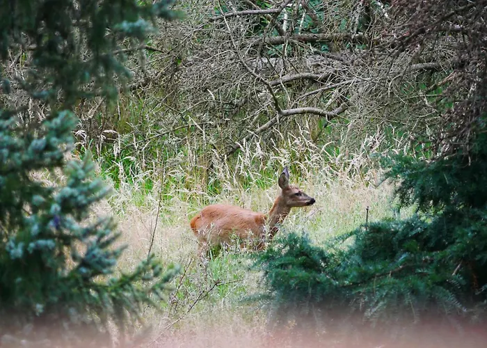Lejlighed Gemuetliche Auf Dem Lande *
